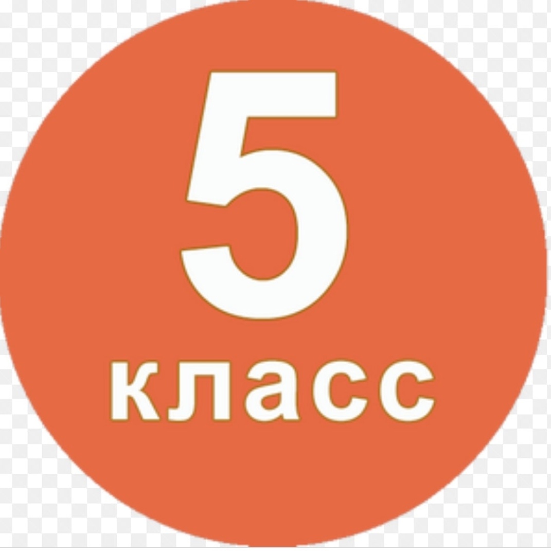 5 класс